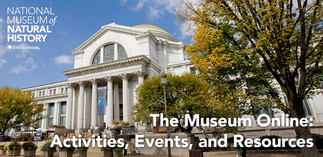 The Museum Online -- Activities, Events, and Resources