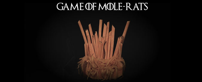 Game of Mole-rats