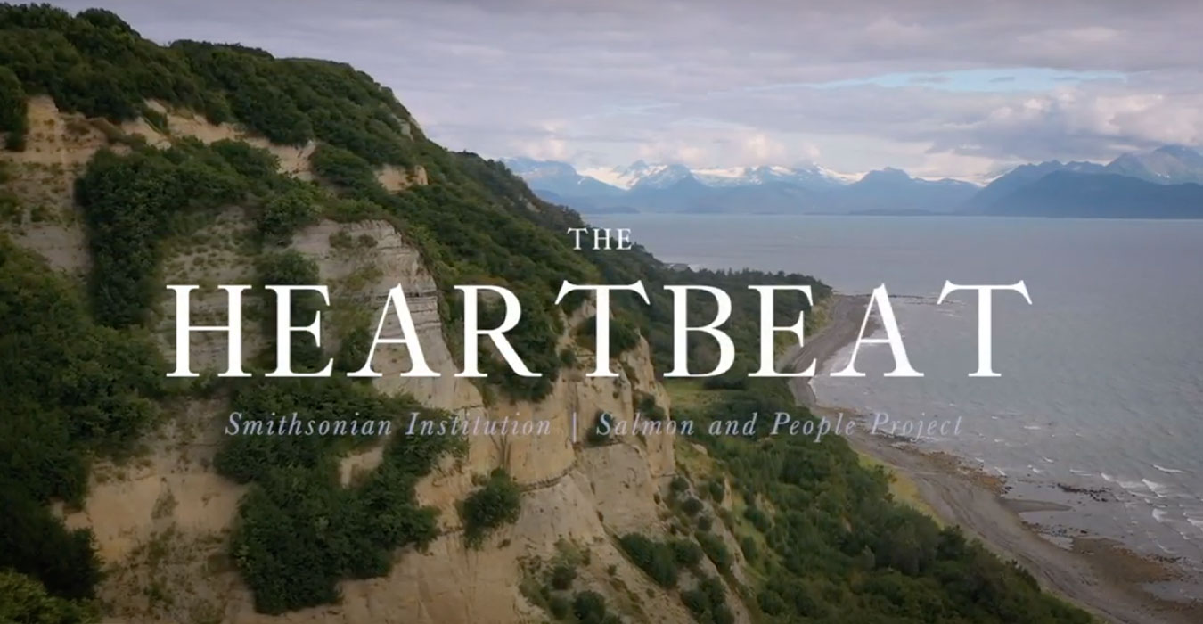 The Heartbeat video still