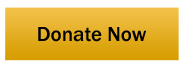 Donate Now Button