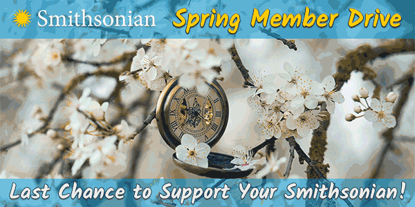 Spring Member Drive