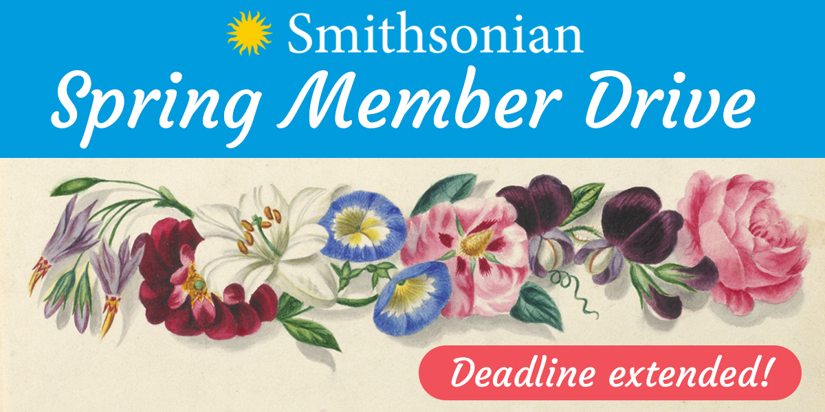 Spring Member Drive Deadline Extended