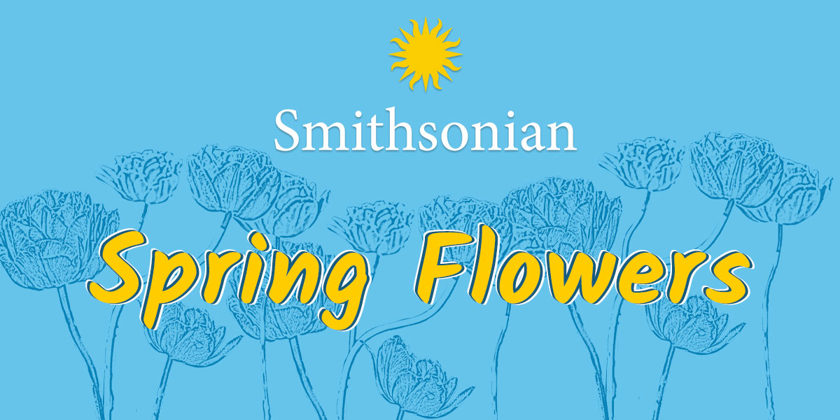 Send a Virtual Flower from the Smithsonian Gardens to Someone You Love