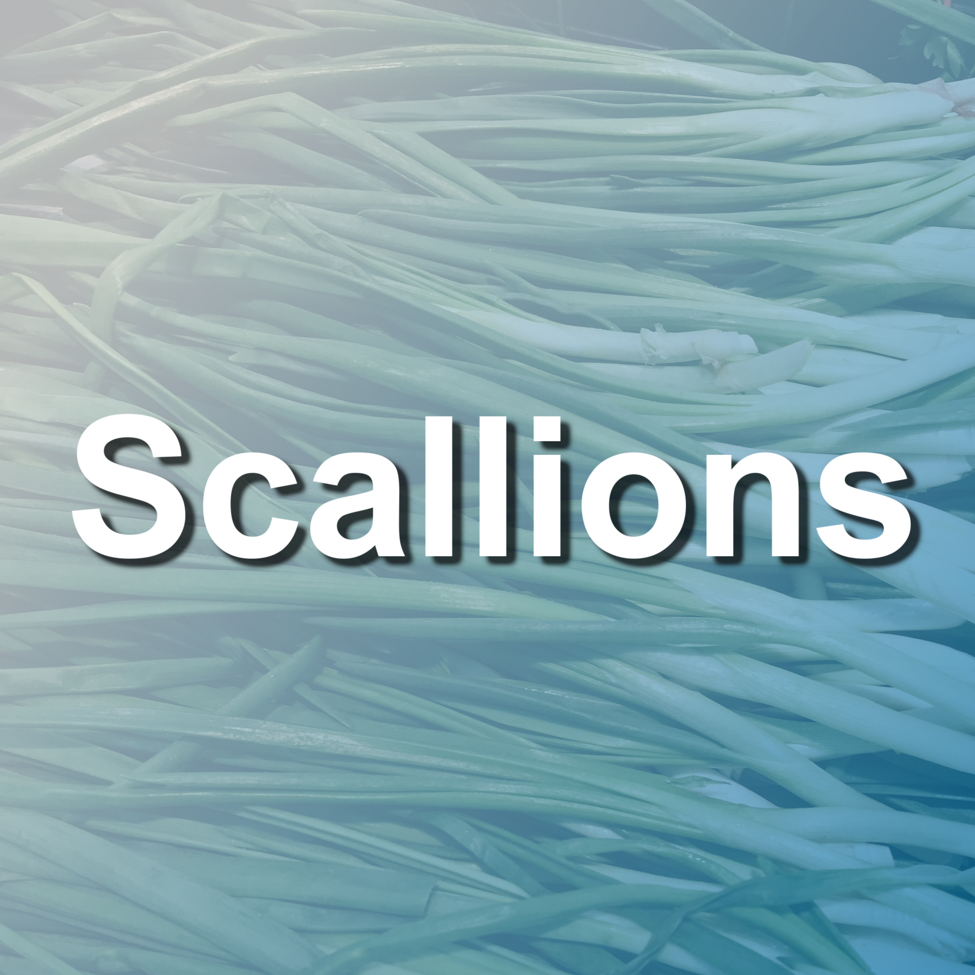 scallions